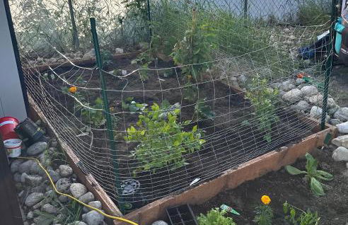 Family & Pet friendly 3 bdrm home with full kitchen and fenced yard - Foto 32