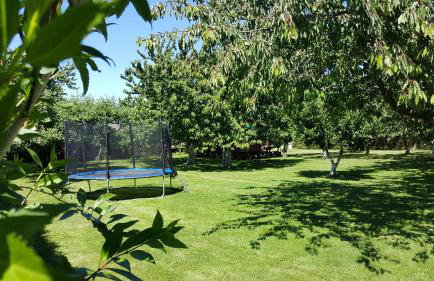 Domki u Eryka - Foto 14