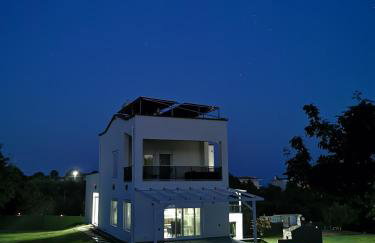 Platan Paradise - Foto 33