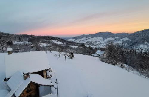 Haus am Berg mit Wellnessbereich, Bar und Panorama - Foto 22