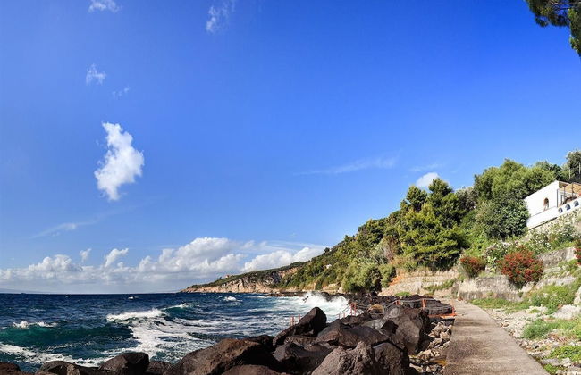 Vera e il Vervece - Foto 11