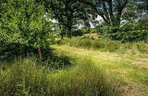 Tent 1 Deerland - Ukc4716 - Foto 23