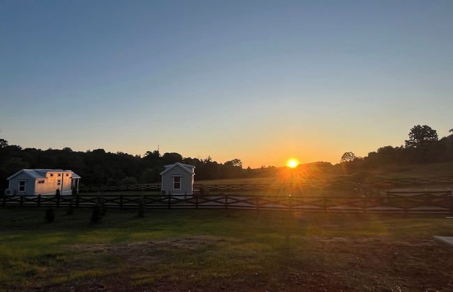 Circle T Mini Farms - Foto 18