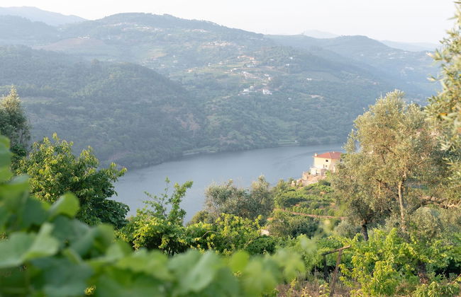 Feel Discovery Casa da Granja in Douro - Foto 40