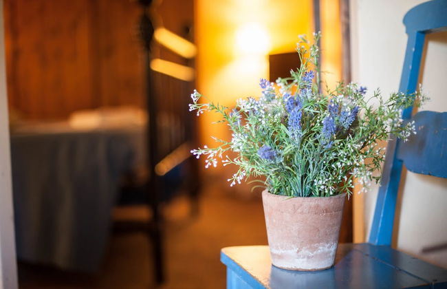 Podere il Poggiolo - Photo 42