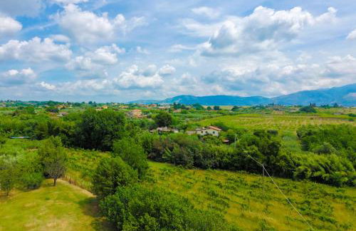 VILLA LA BOUGANVILLEA - Countryside Villa with Private Pool, Surrounded by Nature in VELLETRI - LAZIO - Foto 38