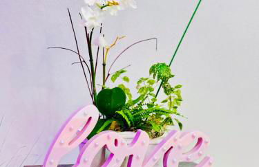 Hollywood Penthouse with Balcony & Pool View - Photo 21