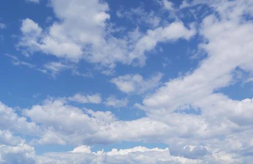 Iris Sabunike - Photo 7