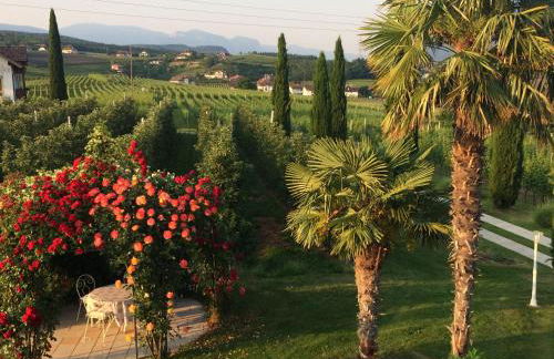 Villa Raifer - Foto 27