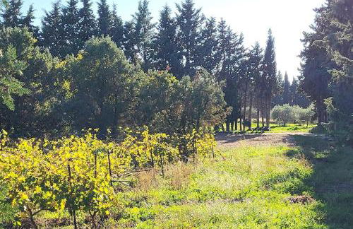 maison village vacances demeures du Ventoux - Photo 22
