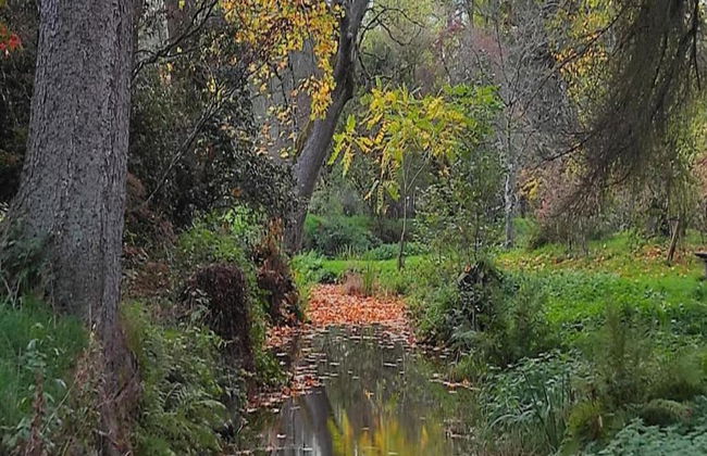 Luxurious Holiday Home in Érezée with Hot Tub - Photo 38