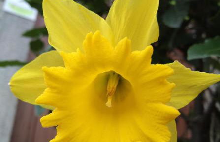 La Cabana´l Cachican - Foto 75