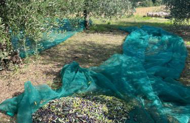 Casa Stefano - Photo 11