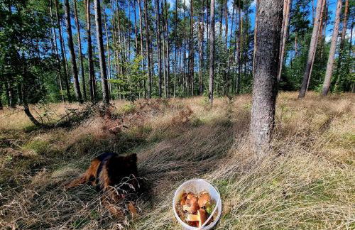 Domek de Janauis - Foto 58