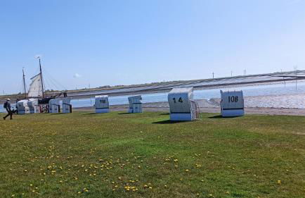 Ferienwohnungen im Reetdachhaus - Foto 6