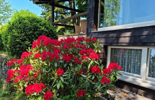 Ferienhaus Vogelsbergblick, Fernblick, Sauna, Kamin, 1700m eingezäunt in Alleinlage - Foto 73