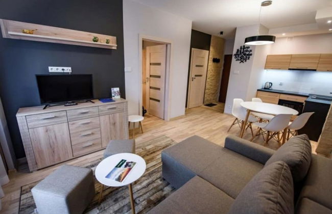 Apartamenty Sun & Snow Zielony Zdrój - Foto 9