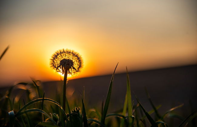 Woodfield House - Photo 36