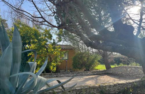 Les Jardins du Soleil - Foto 21