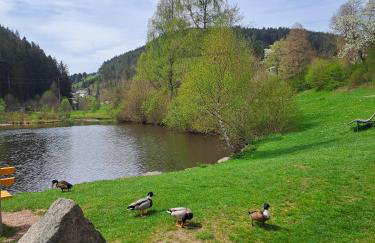 Les Papillons - Foto 29