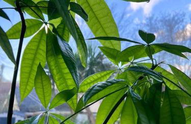 Seashell Apartment - Central location - Foto 28