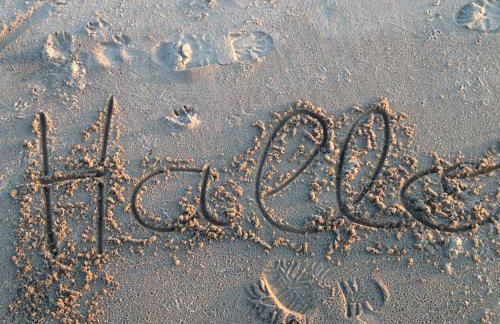 Elb Nest Gästehaus - Foto 39