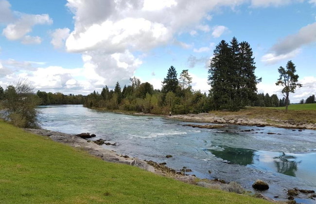 Log Cabin in Bavaria With Covered Terrace - Foto 29