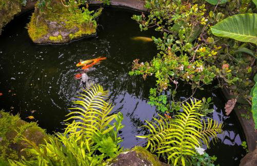 Gingerhill Farm Retreat - Foto 58