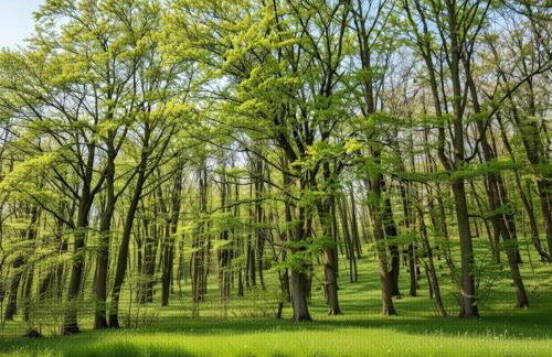 Family apartment in Hambachtal Boutique Resort - Foto 24