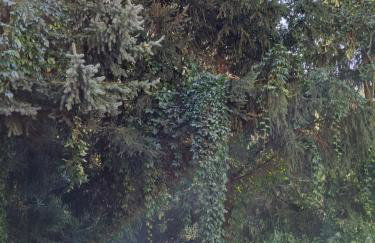 Przy pałacu - Foto 27