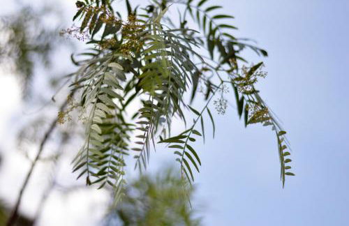 Agriturismo Pepe Rosa - Photo 8