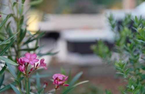 Villa Slatina near Zrce beach - Photo 52