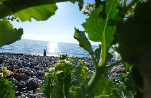 Kleines Landhaus Kopendorf - Foto 30