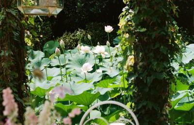 Relais La Foleia - Luxury Villa with private lake - Foto 9