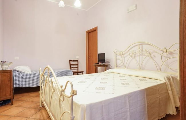 Il Sentiero degli Ulivi - Foto 4