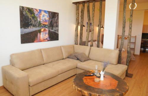 Το Μπαλκόνι Του Όρλιακα - Foto 42