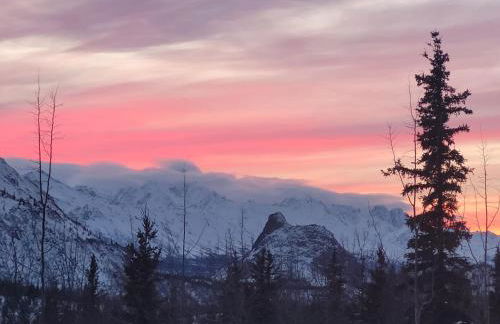 Little Bear Getaway Cabins - Foto 9