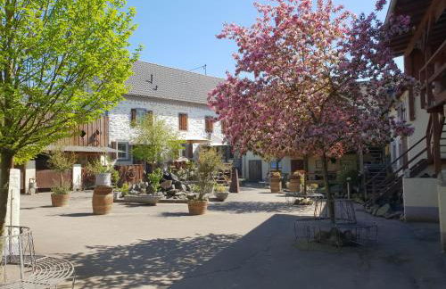 Moderne Ferienwohnung Black Beauty auf idyllischem Reiterhof nähe Burg Eltz - Foto 16