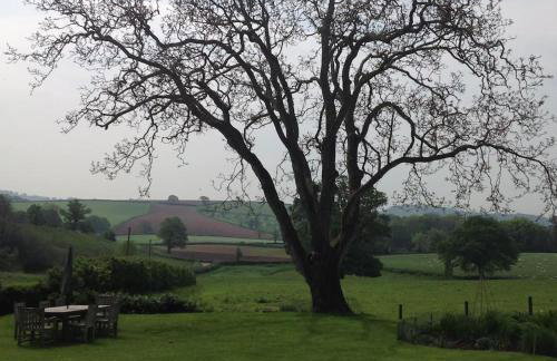 Beautiful Devon Farmhouse - Foto 21
