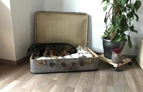 Ferienhaus Storchenblick - Foto 30