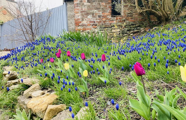 Capella Cottage, 2 Bedroom, Sleeps 4 - Photo 14