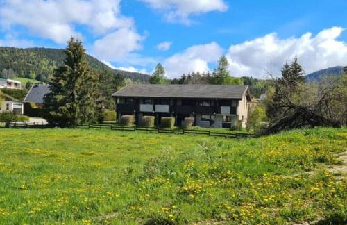 Le Méaudret - Foto 7