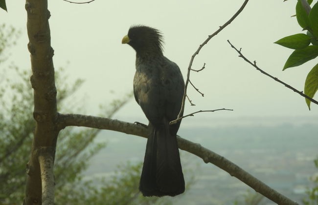 Nimohs' Holiday Home Mccarthy Hill Accra-ghana With Acs - Foto 42