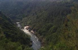 Quinta das Lindas 2 - Foto 74