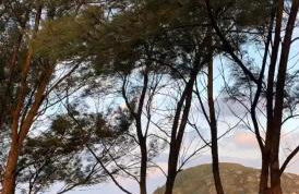 Condomínio residencial mar azul - Photo 22