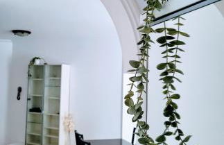 2 bedroom apartment with a pool - Foto 14