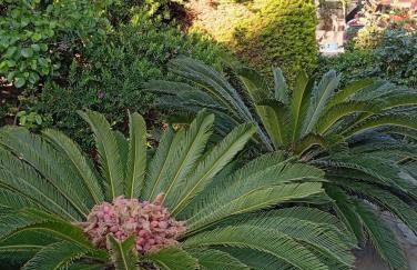 Cosy garden house in a villa - Foto 21