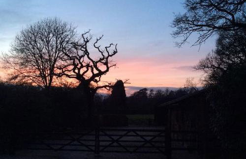 Holmans NEW FOREST - Photo 42