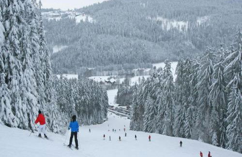 Ferienwohnung Lindenhof - Foto 44