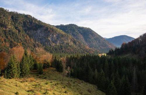 Gipfelkönig - Foto 42